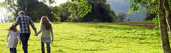 Money Ssset Management: Noelcajigas